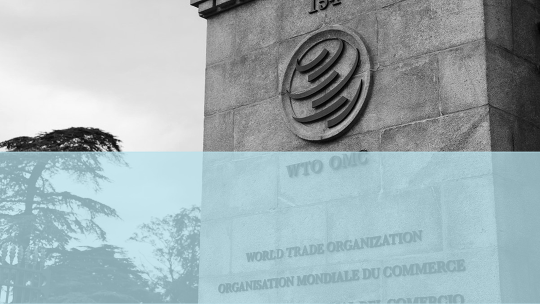 WTO (8)