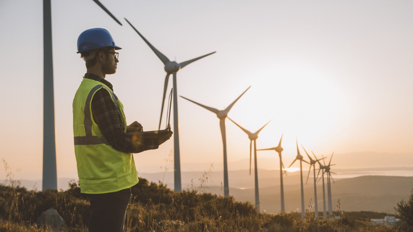 US Trade Policy Going Green Stephen Olson