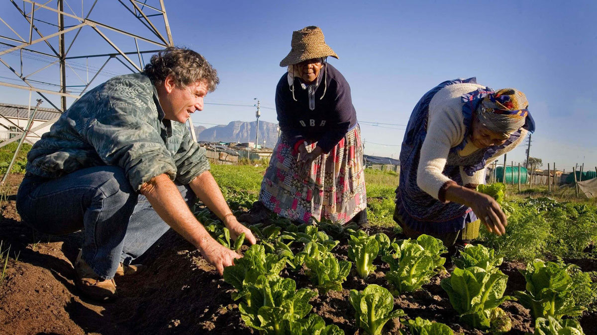 Plummer Commonwealth Agriculture Trade Development Cropped Min