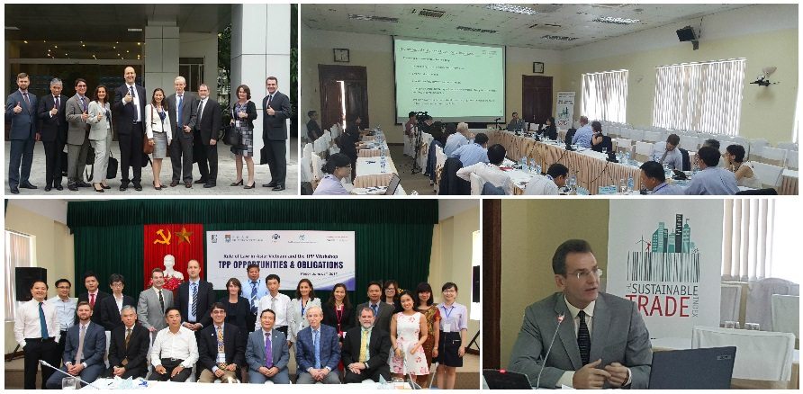 STI Hanoi Photo Collage