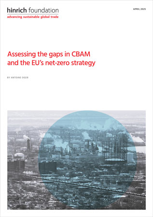 Assessing the gaps in CBAM and the EU’s net-zero strategy